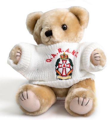 qaranc teddy bear wearing jumper